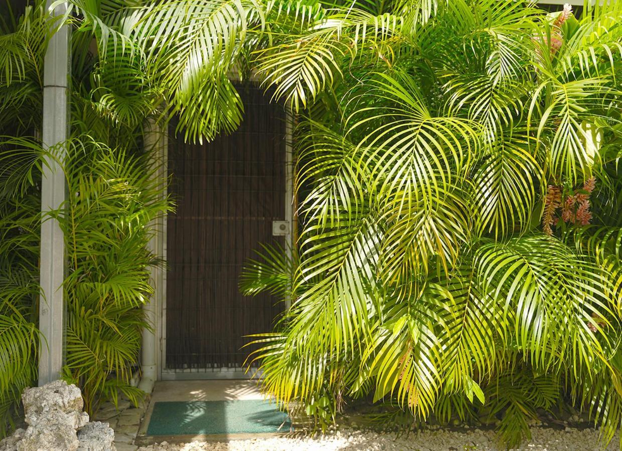 Apartamentos y Studios Brisas del Mar Santa Teresa Playa Santa Teresa  Exterior foto